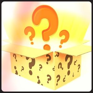 🍁Mystery box full of fall clothing🌻